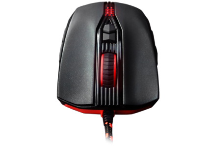 AnurA_02