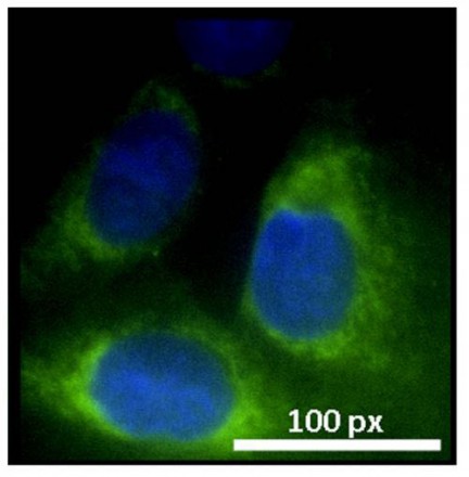 quantum dot2