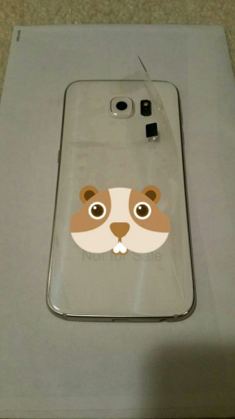 samsung-galaxy-s6-s-dual-edge-leak_04