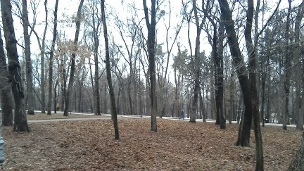2015-02-27 15.49.09