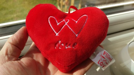 heart-m9