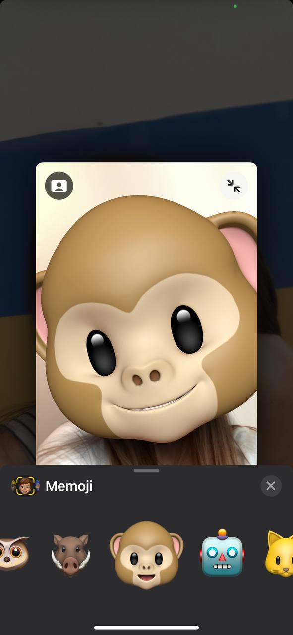 iOS 121 Brings Group FaceTime Over 70 New Emoji Depth Control in Cameras  and Dual SIMs  Elf