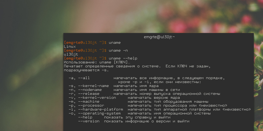 Uname — сорокалетняя Siri