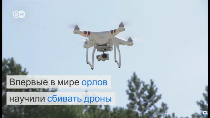 drones-vs-eagles