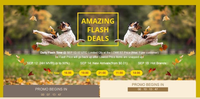 GearBest.com