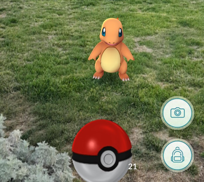 Pokemon йти суд