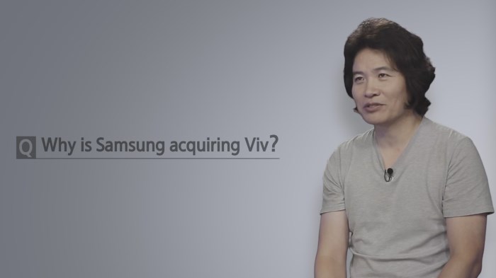  samsung-viv-title 