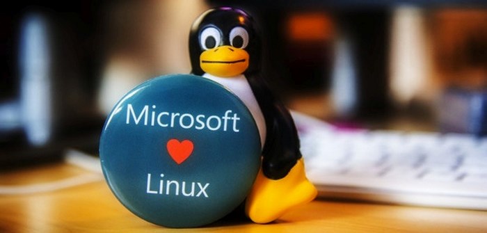  microsoft linux 