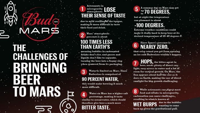  budweiser 