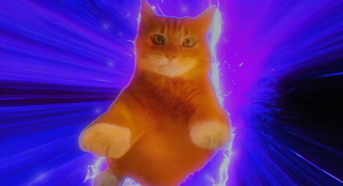 puss title