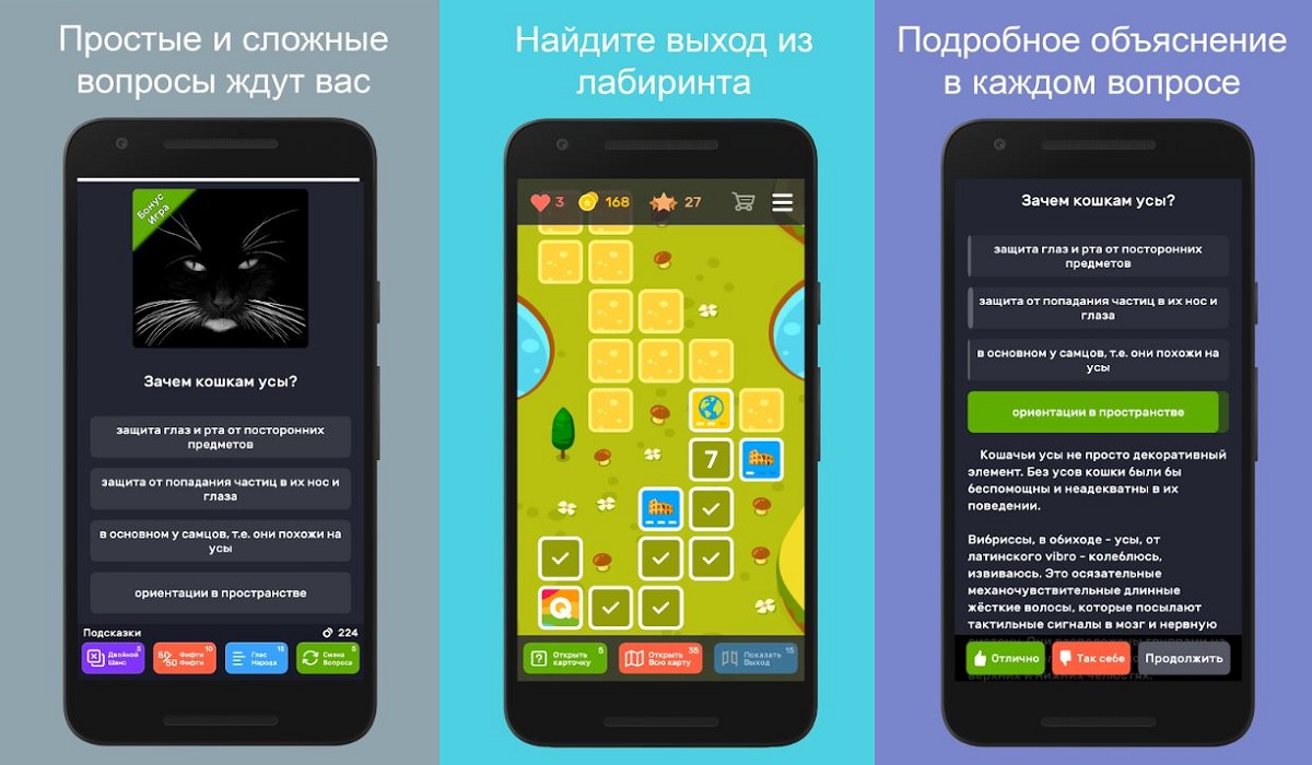 Проверить викторину 2020. QUIZZLAND ответы на вопросы. Мобильные ответы.