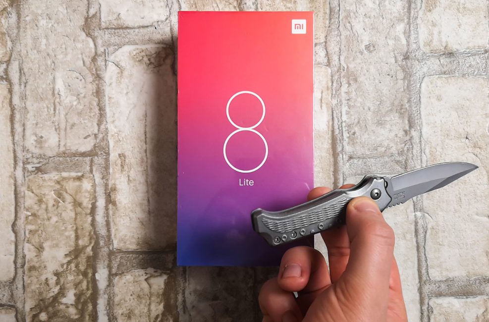 Akıllı telefon incelemesi Xiaomi Mi8 Lite. Degrade bıyıklı kendileri!