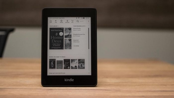 Amazon Kindle PaperWhite 2018 