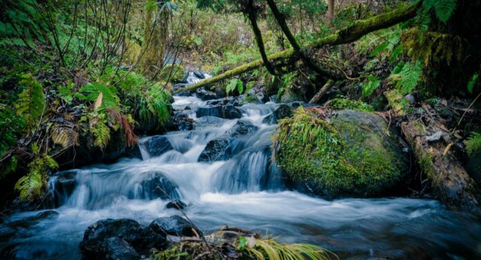 Water fall