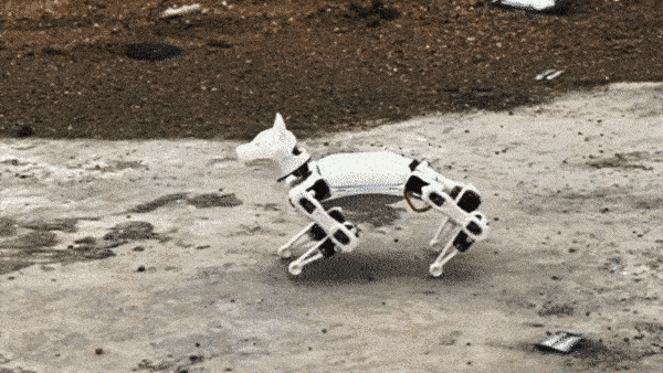 Piccolo cane robot
