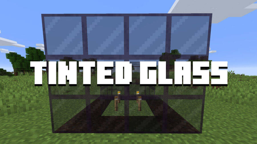 Minecraft PE 1.17 - Tinted Glass
