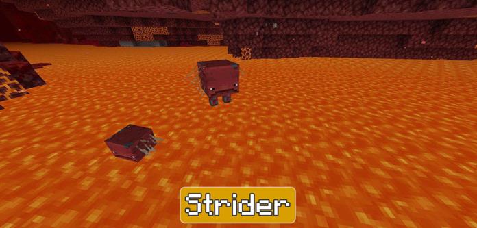 Strider in Minecraft PE 1.16.200