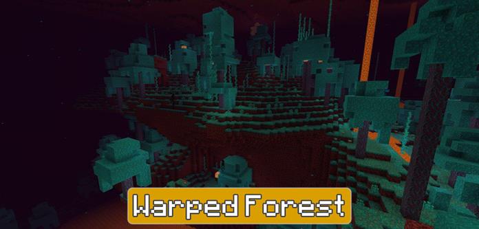 Warped Forest in Minecraft PE 1.16.200