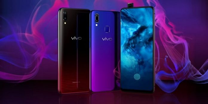 vivo