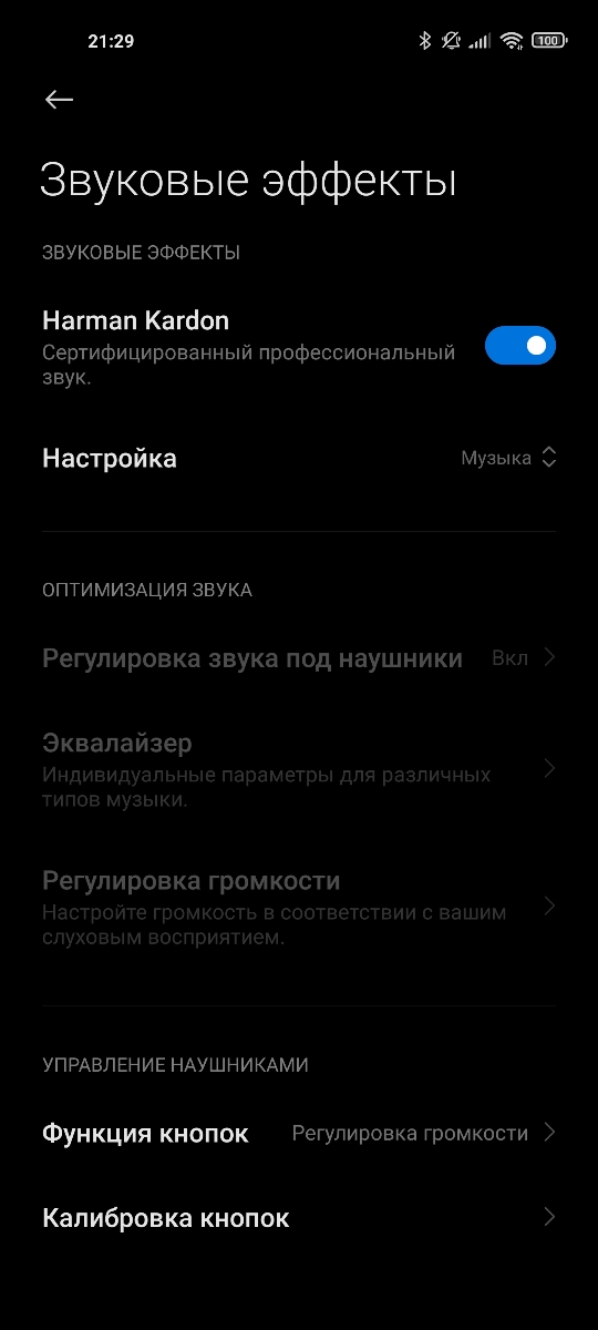 Xiaomi Mi 11 - Audio Settings