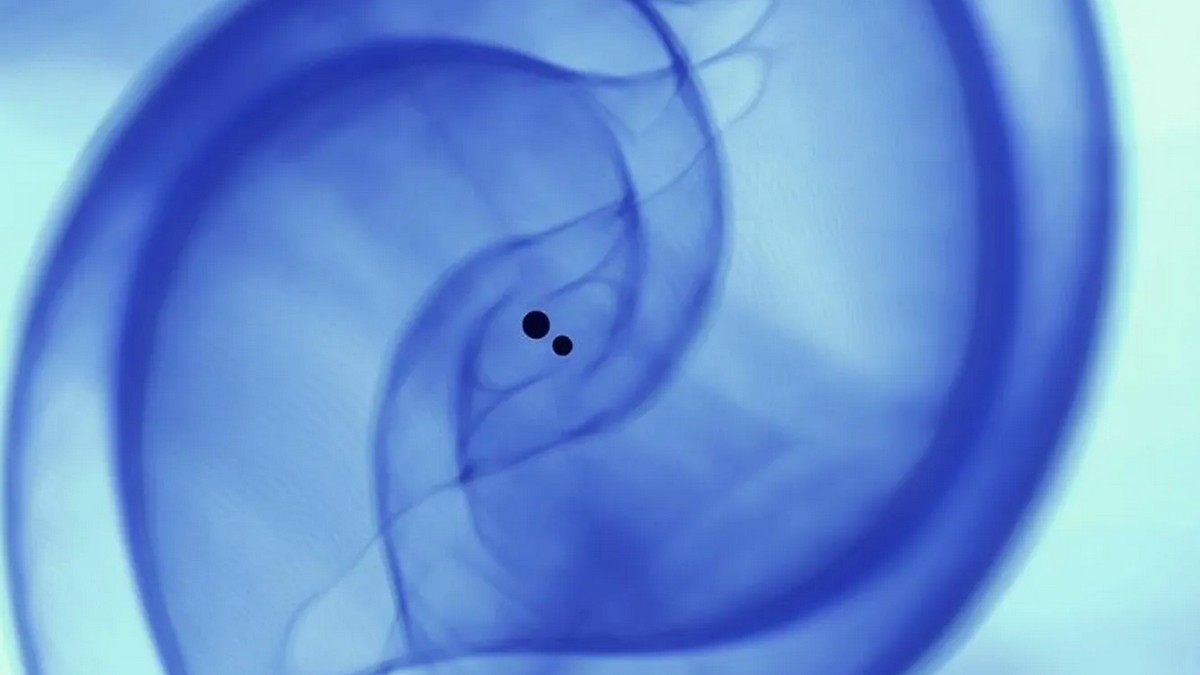 LIGO AI