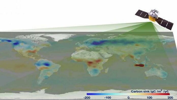 carbon flux map