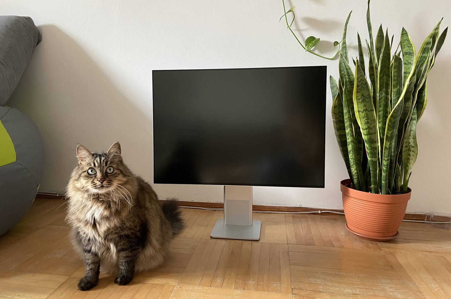 Huawei MateView monitor review: Good looks, and what else?