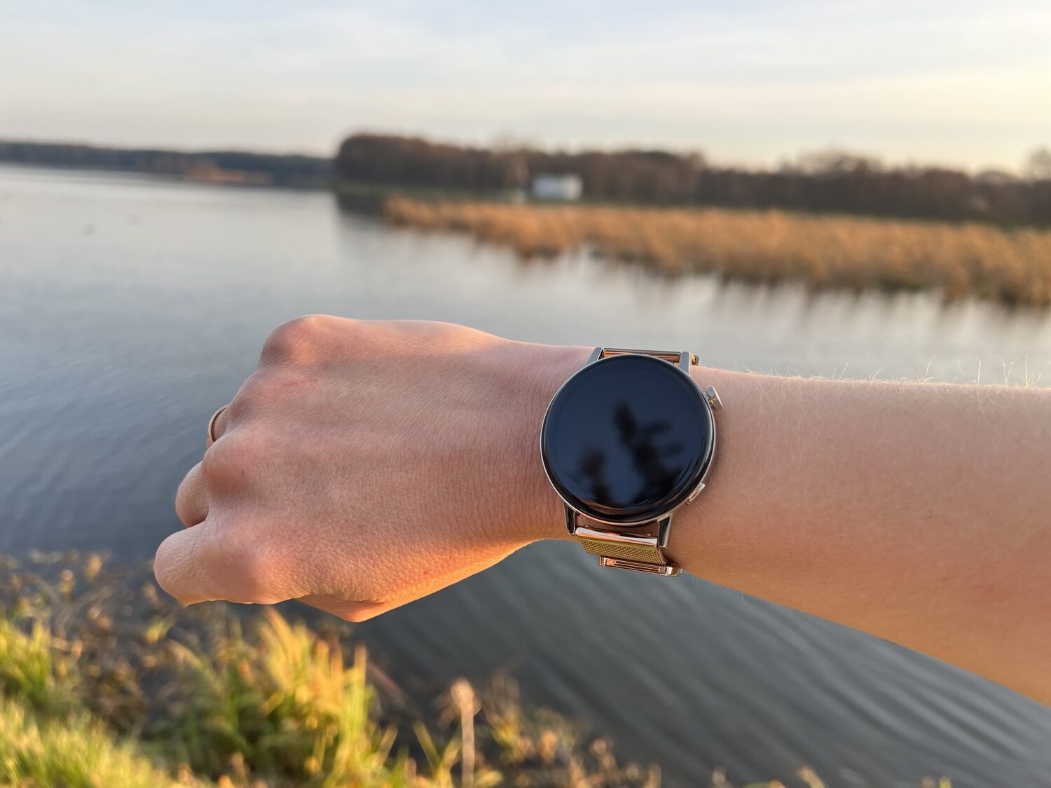 Huawei Watch GT 3 Elegant review: Smartwatch with HarmonyOS on board