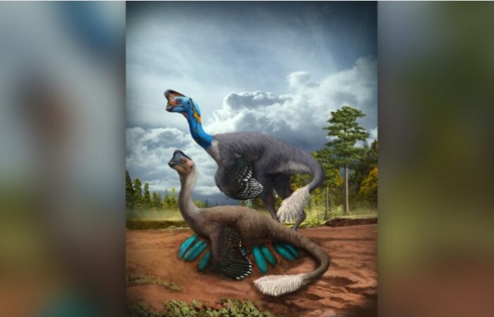 Динозавр, що висиджує яйця, та скам'янілі ембріони