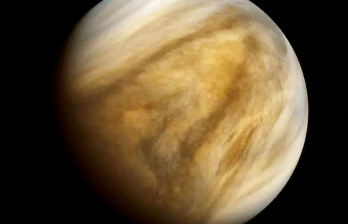 Venus Life Finder Missions
