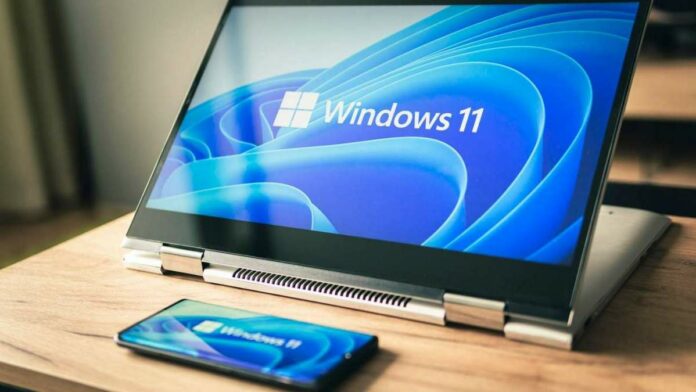 Windows 11-01 Windows 11-01