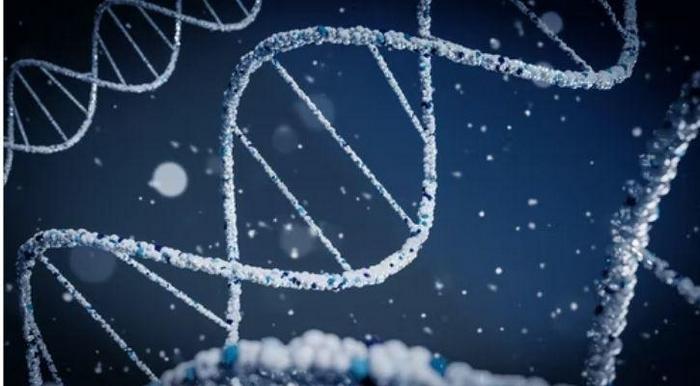 科學家創造了世界上最小的天線......來自 DNA
