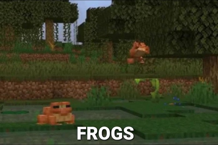 Frogs in Minecraft 2022