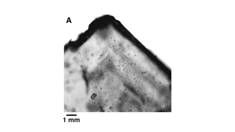 Es wurden Mikroben gefunden, die 830 Millionen Jahre alt sind, einige leben möglicherweise noch