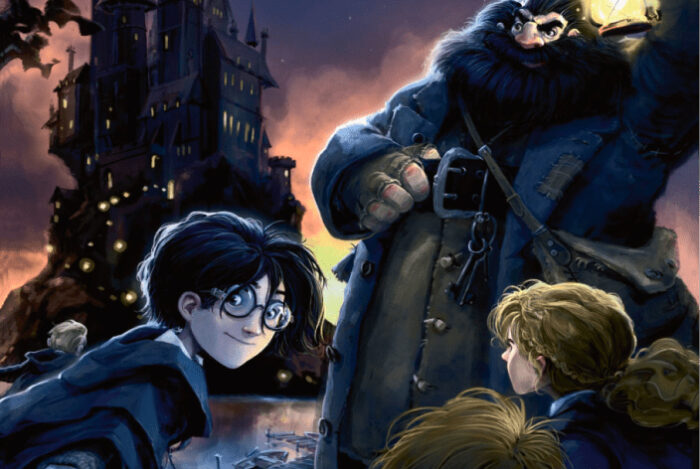 Harry Potter At Home