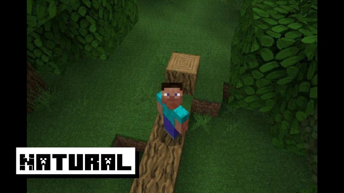 Naturliga texturer för Minecraft