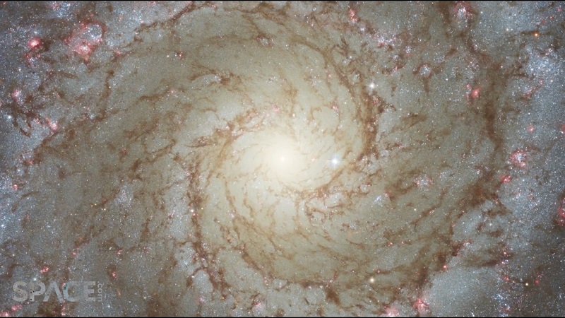 NGC 1156