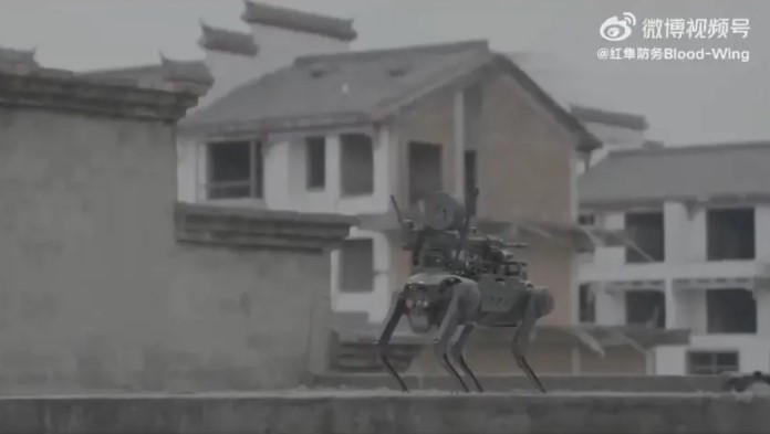 perro robot armado