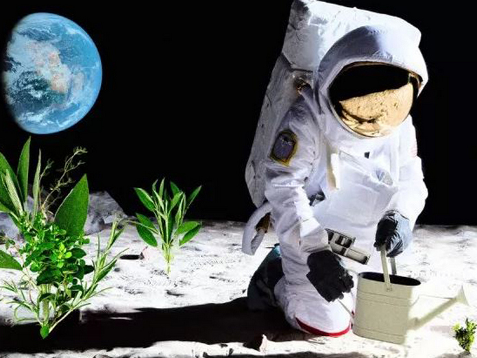 Австралійці планують вирощувати рослини на Місяці вже у 2025