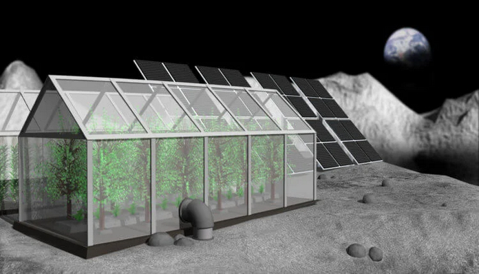 Австралійці планують вирощувати рослини на Місяці вже у 2025