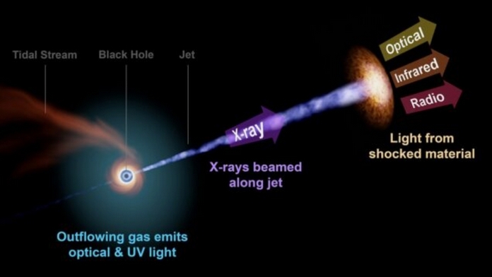 Астрономи зняли «шалено голодну» чорну діру, яка поглинає зірку