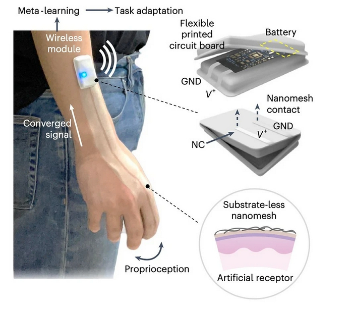 Нова «розумна шкіра» використовуватиме ШІ для інтерпретації рухів людини