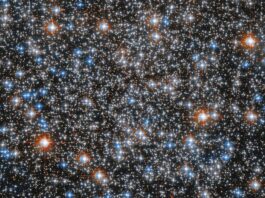 M55