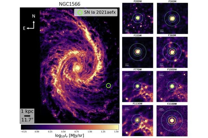 NGC 1566 Spanish Dancer