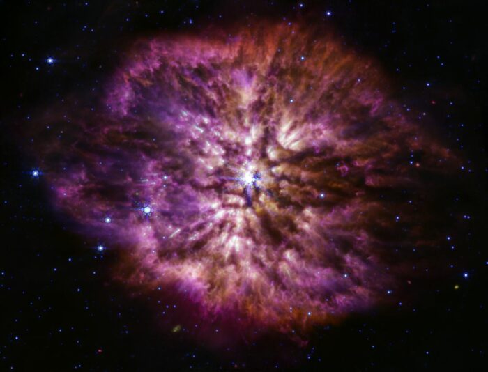 Телескопи Вебб ситораи азимеро дид, ки дар пеш аст, ки ба суперновавӣ биравад