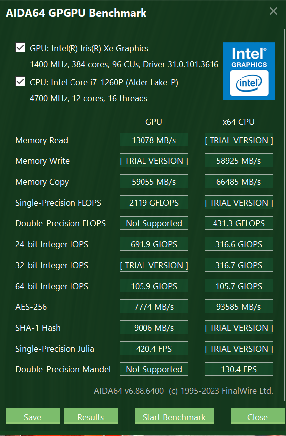 AIDA 64 - Intel Iris Xe