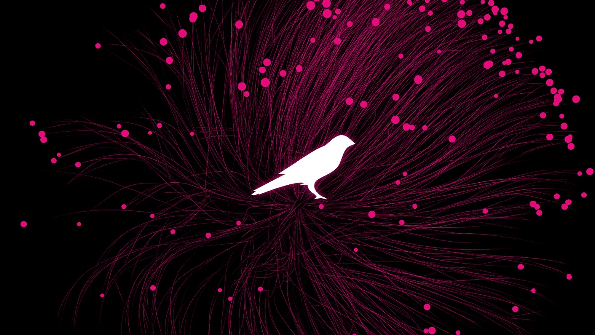 Kusama Blockchain