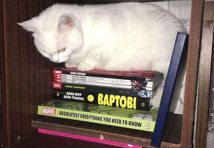 Het boek is niet hetzelfde zonder de kat