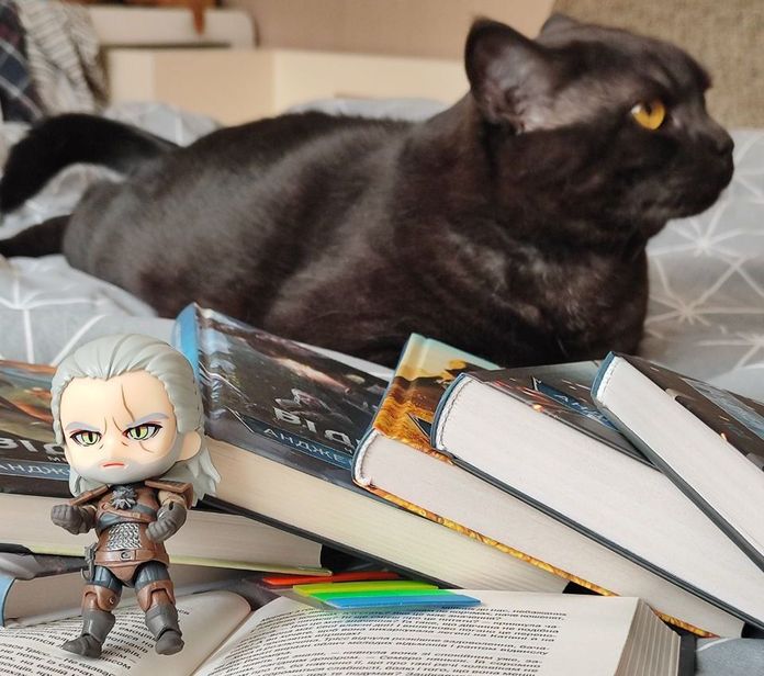 Knjiga ni enaka brez mačke