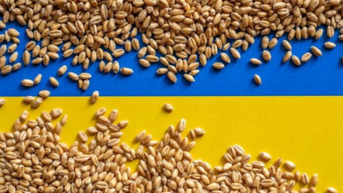 Ukraine flag